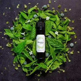 La Menthe Vaponaute