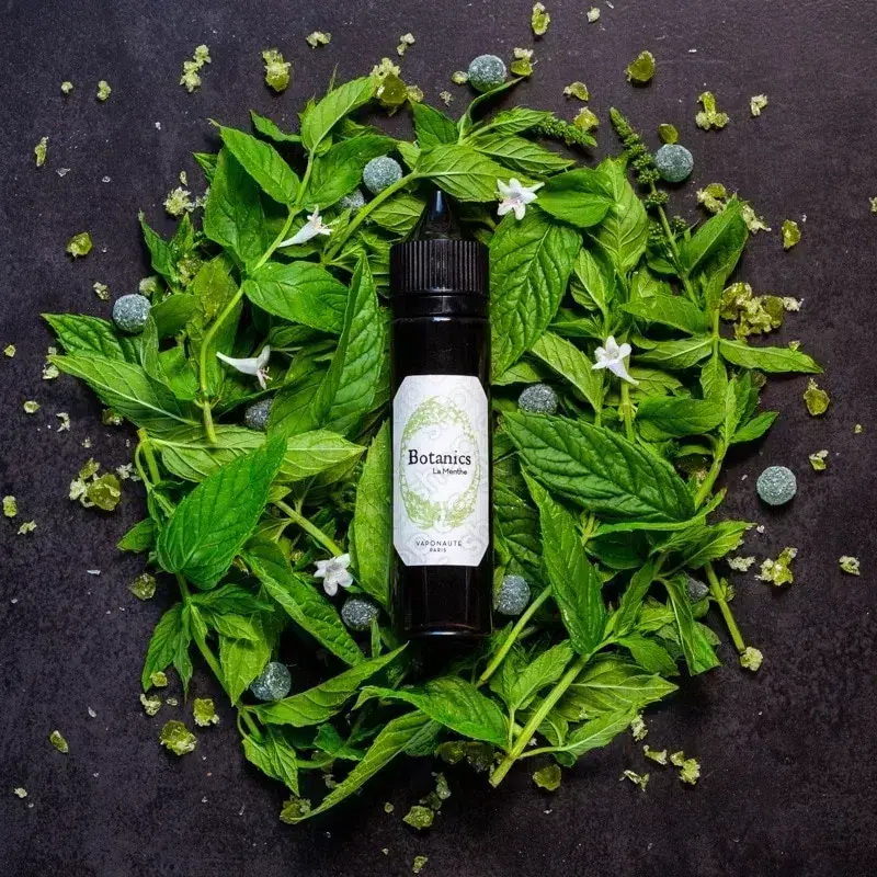 La Menthe Vaponaute